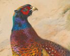 Pheasant, Archibald Thorburn, Birds Print