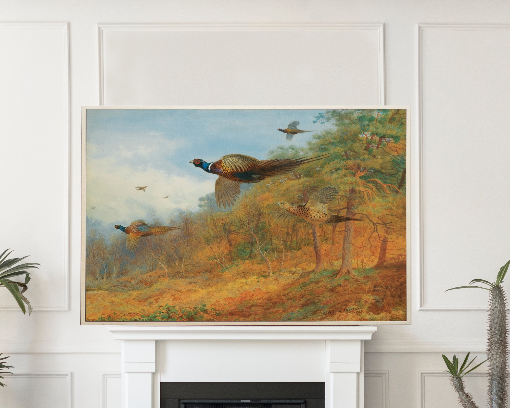 Pheasants Breaking Out Of Cover, Archibald Thorburn, Birds Print