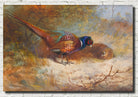 Pheasants, Archibald Thorburn, Birds Print