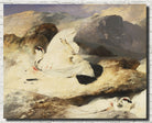 Ptarmigan in a Landscape, Edwin Landseer Fine Art Print