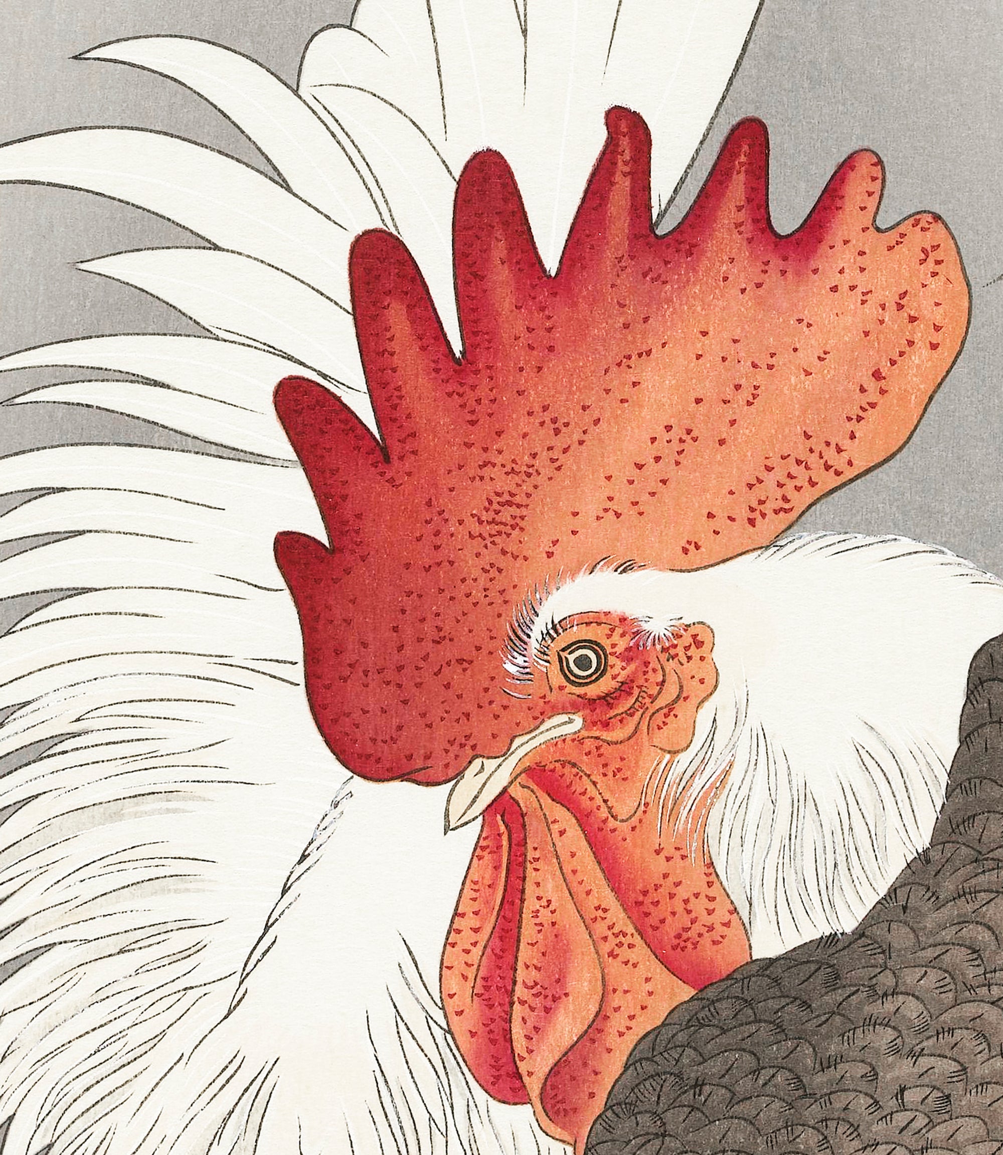 Rooster and Chicken JAPANESE FINE ART PRINT, OHARA KOSON - GalleryThane.com