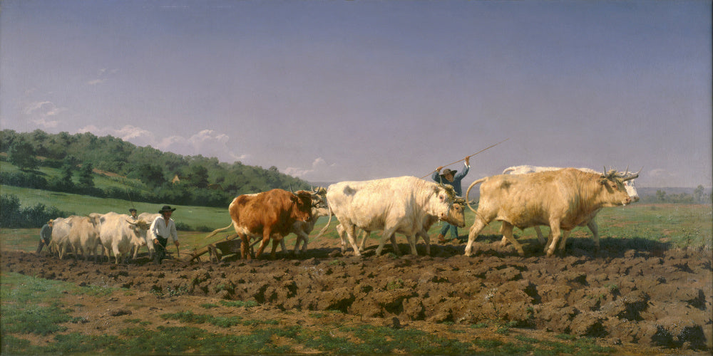 Rosa Bonheur Fine Art Print : Ploughing in Nevers
