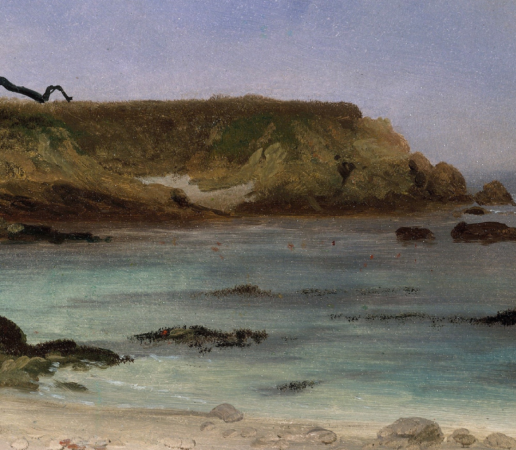 Sea Cove, Albert Bierstadt, Landscape Print
