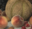 Still Life with Cantaloupe, William Mason Brown Fine Art Print