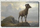 Study Of A Bighorn Ram, Albert Bierstadt Print