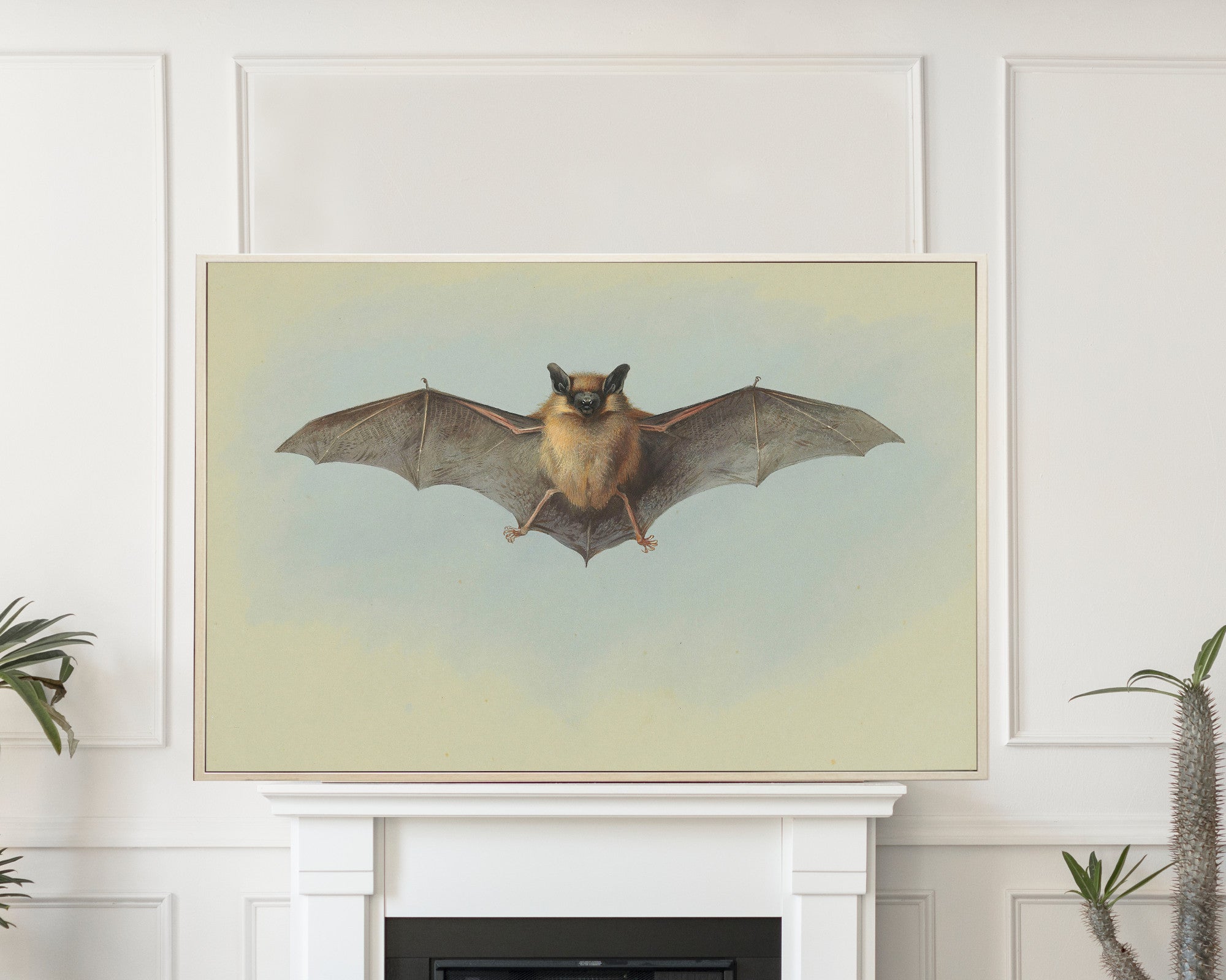 Pipistrelle Bat, Archibald Thorburn, Wildlife Print