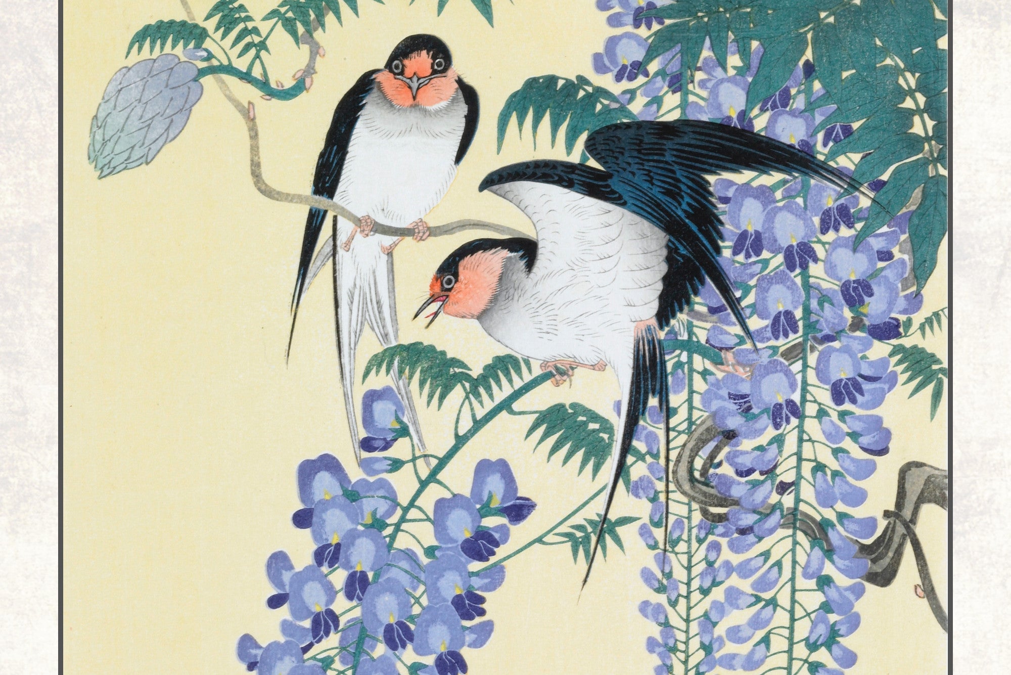 Ohara Koson Japanese Fine Art Print, Swallows and Wisteria