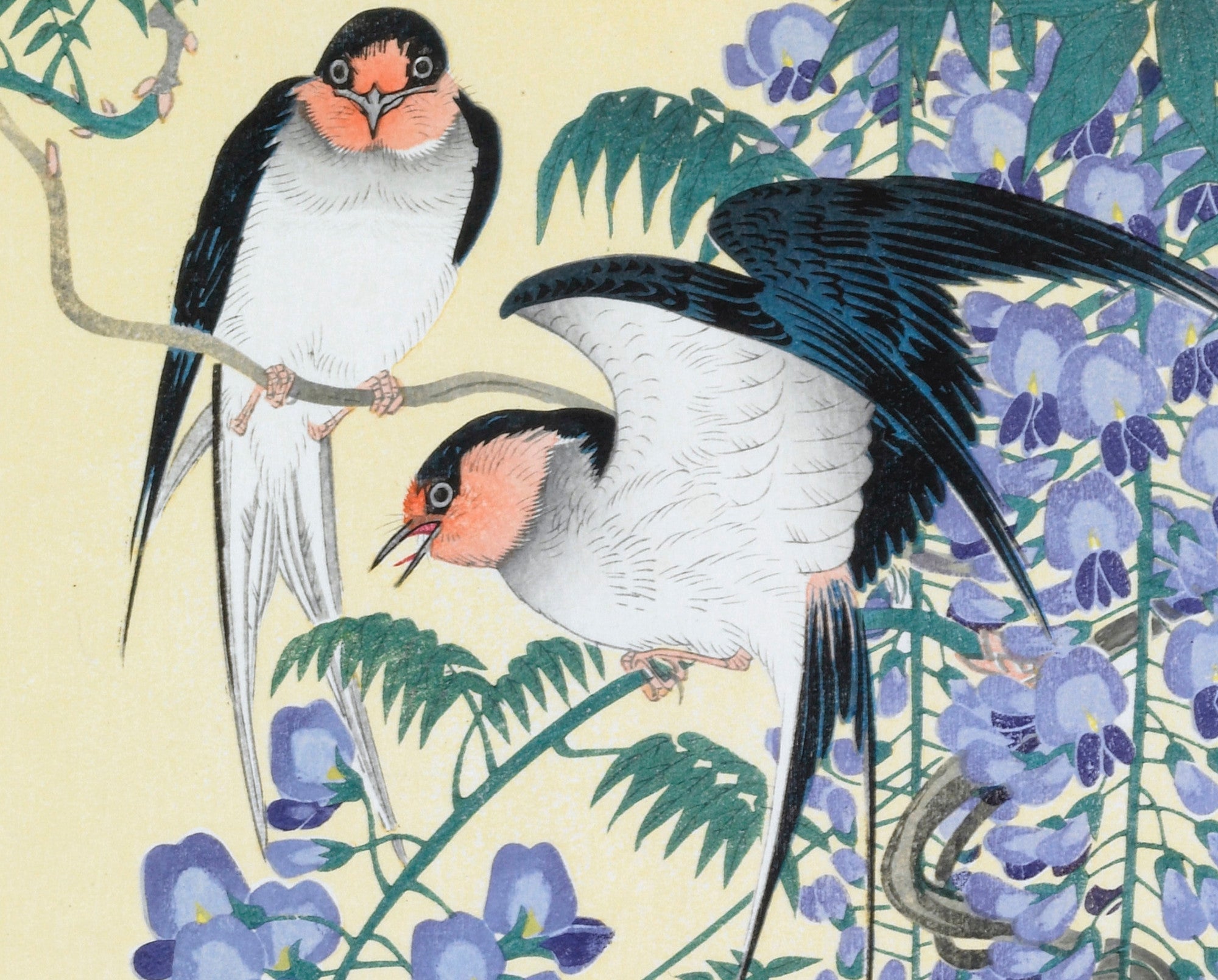 Ohara Koson Japanese Fine Art Print, Swallows and Wisteria