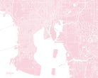 Tampa City Street Map Print Feature Wall Art Poster