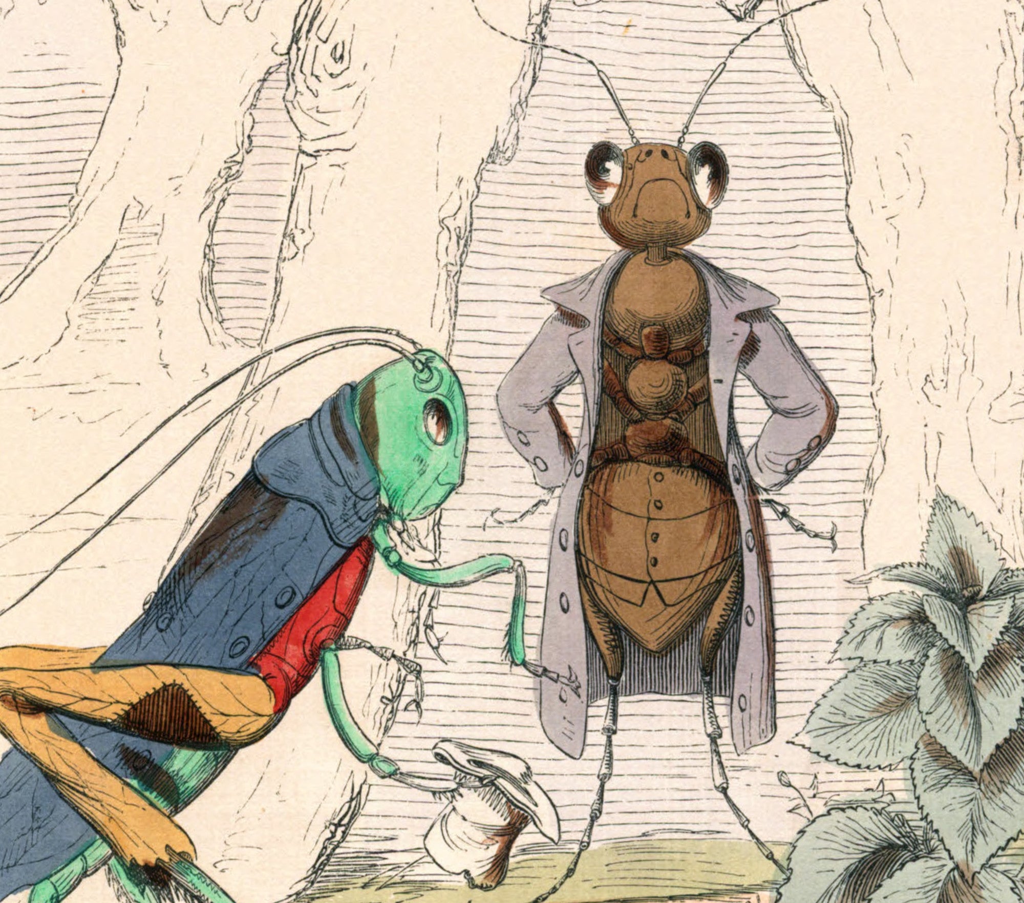 The Ant And The Grasshopper, Human Nature Illustration, Charles H Bennett