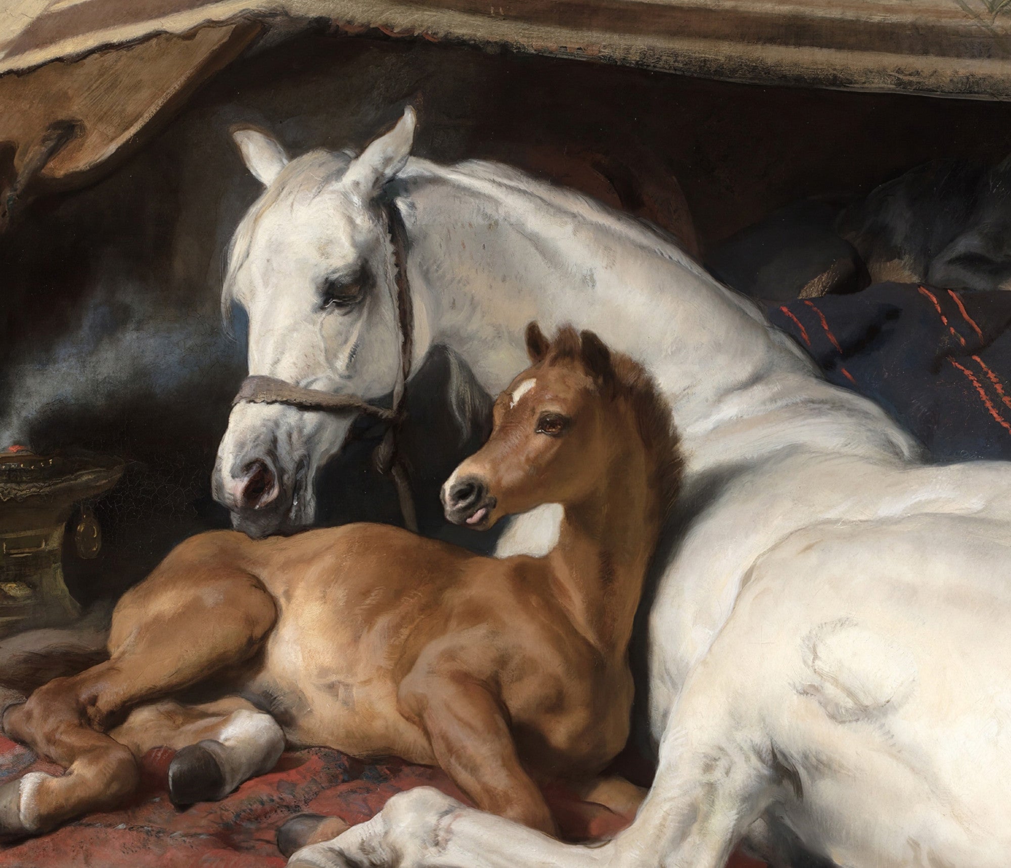 The Arab Tent, Edwin Landseer Fine Art Print
