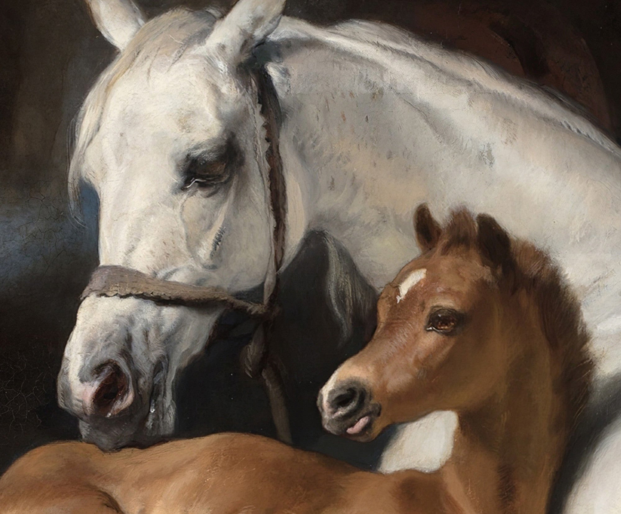 The Arab Tent, Edwin Landseer Fine Art Print