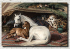 The Arab Tent, Edwin Landseer Fine Art Print