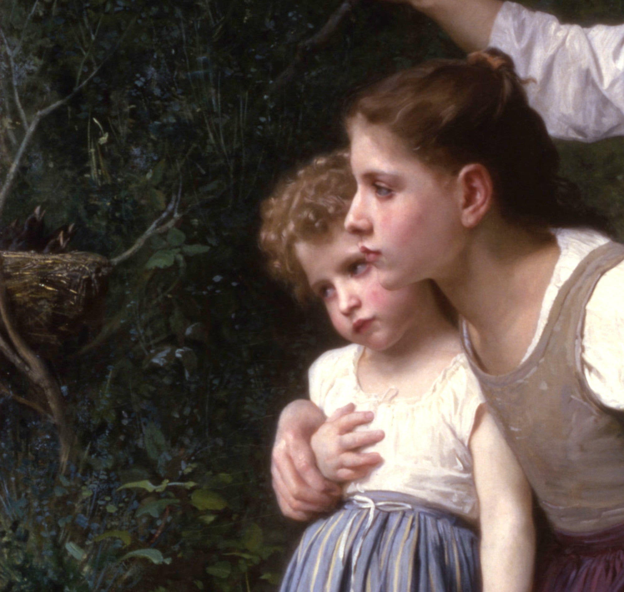 Elizabeth Jane Gardner Fine Art Print : The Birds Nest