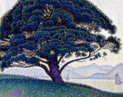 Paul Signac Fine Art Print, The Bonaventure Pine