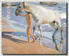 The Horse’s Bath, Joaquín Sorolla Fine Art Print