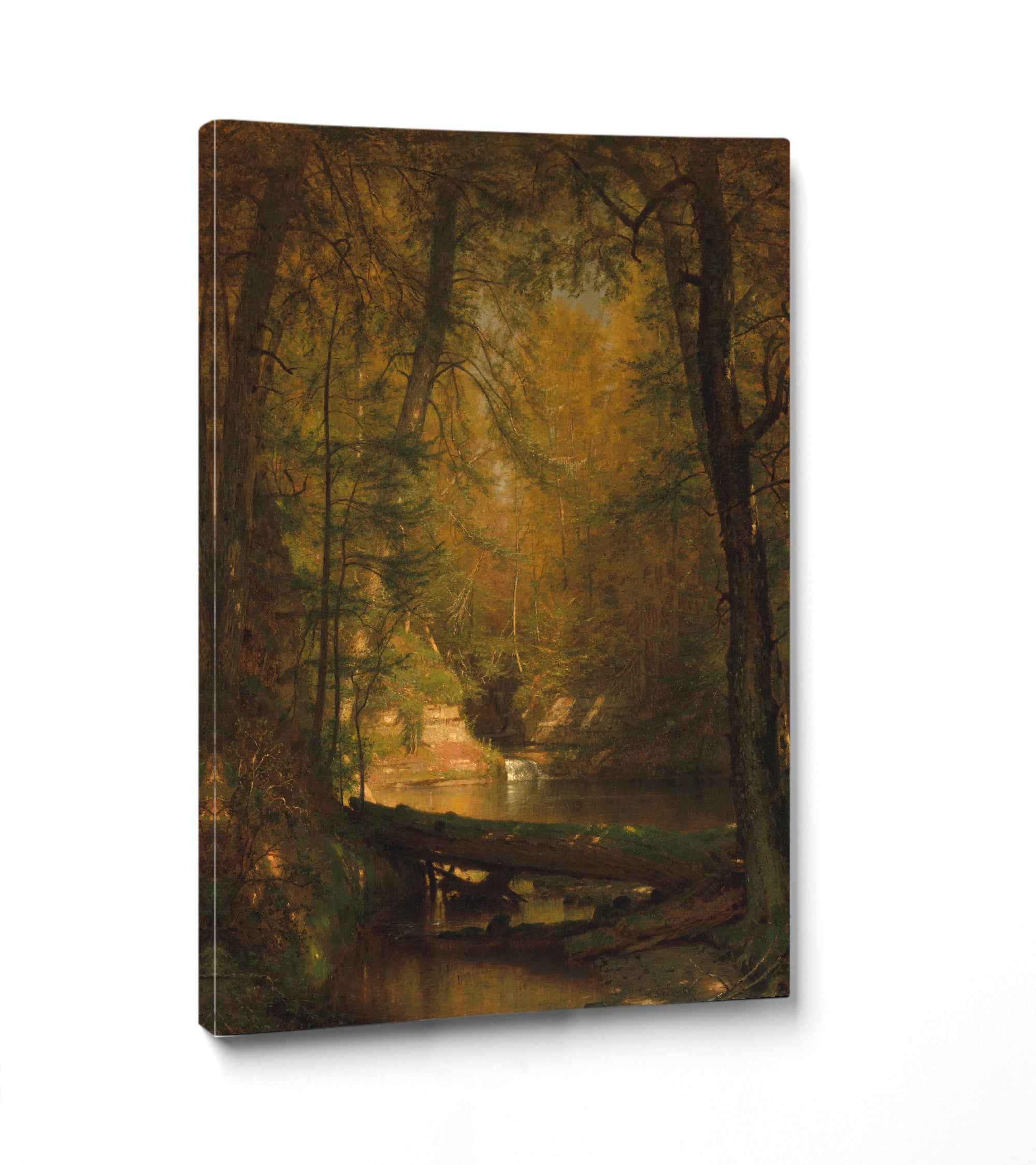 The Trout Pool, Worthington Whittredge