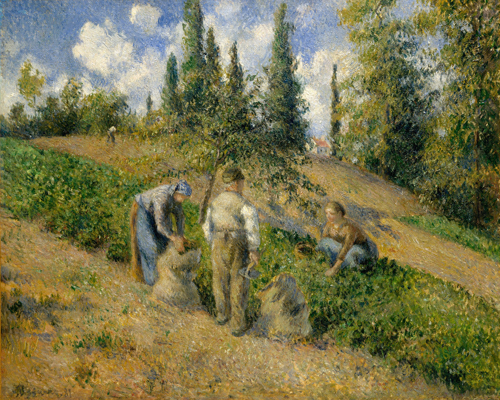 Camille Pissarro Fine Art Print The Harvest, Pontoise Impressionist Painting