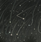Étienne Léopold Trouvelot Fine Art Print, The November Meteors