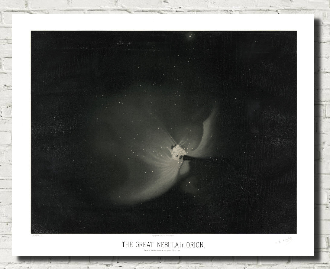 Étienne Léopold Trouvelot Fine Art Print, The Great Nebula in Orion