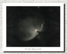 Étienne Léopold Trouvelot Fine Art Print, The Great Nebula in Orion