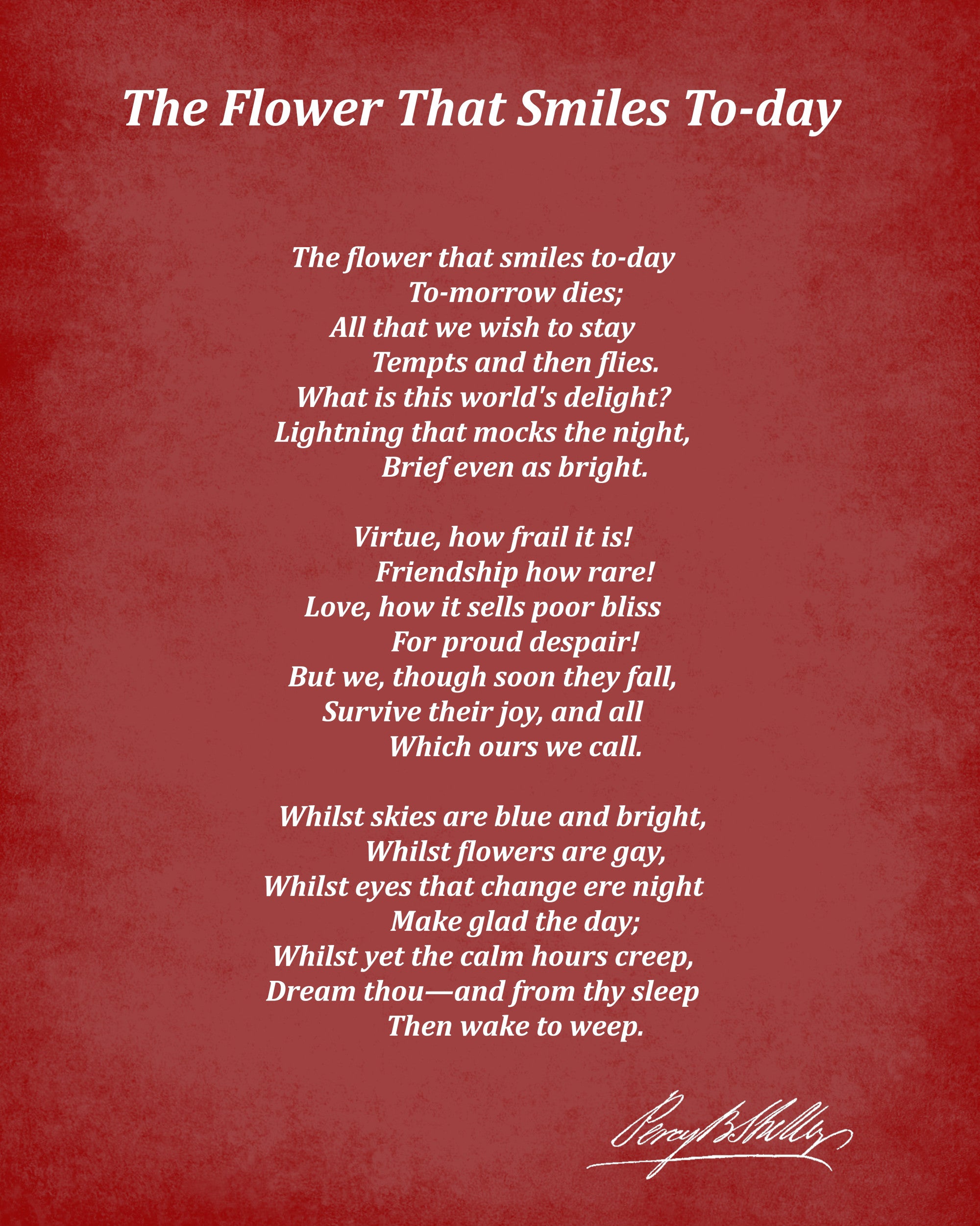 The Flower That Smiles To-day, Poem by Percy Bysshe Shelley, Typography Print