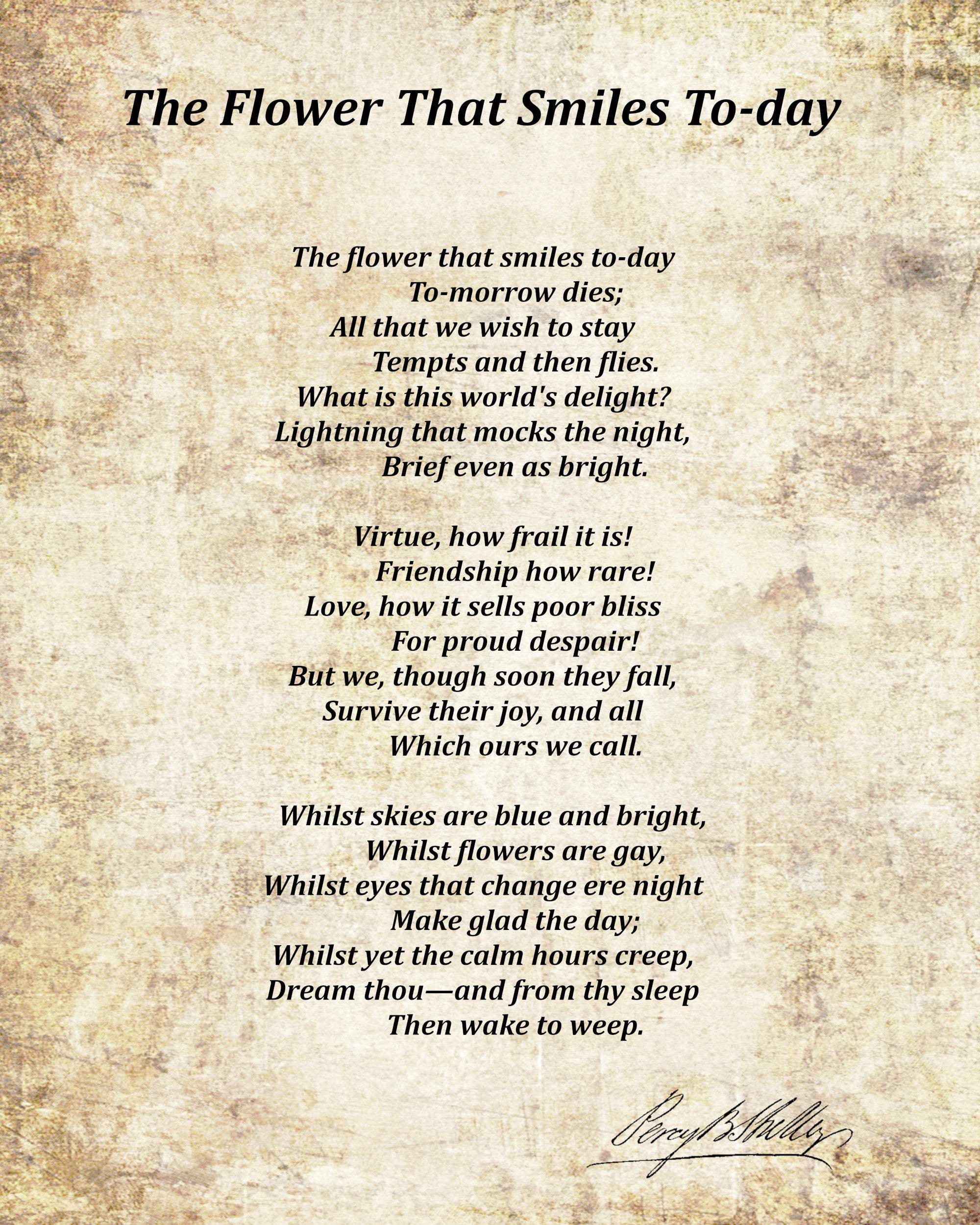 The Flower That Smiles To-day, Poem by Percy Bysshe Shelley, Typography Print