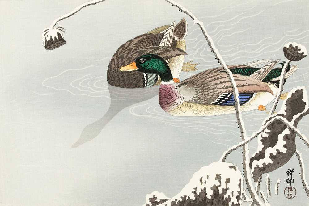 Two Mallard Ducks JAPANESE FINE ART PRINT, OHARA KOSON - GalleryThane.com