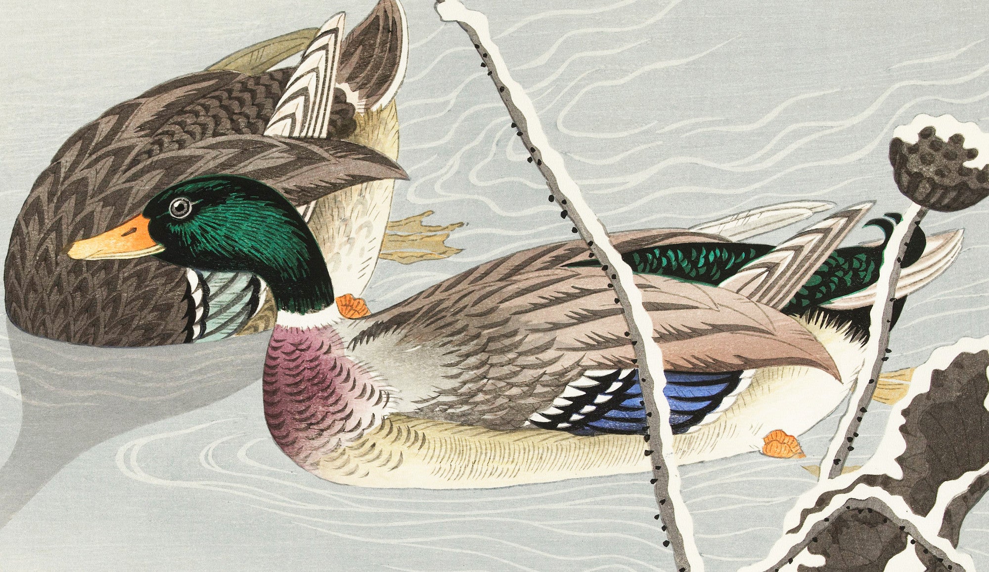 Two Mallard Ducks JAPANESE FINE ART PRINT, OHARA KOSON - GalleryThane.com