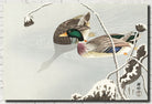 Two Mallard Ducks JAPANESE FINE ART PRINT, OHARA KOSON - GalleryThane.com