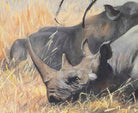 Friedrich Wilhelm Kuhnert Fine Art Print, Two Rhinoceros Resting