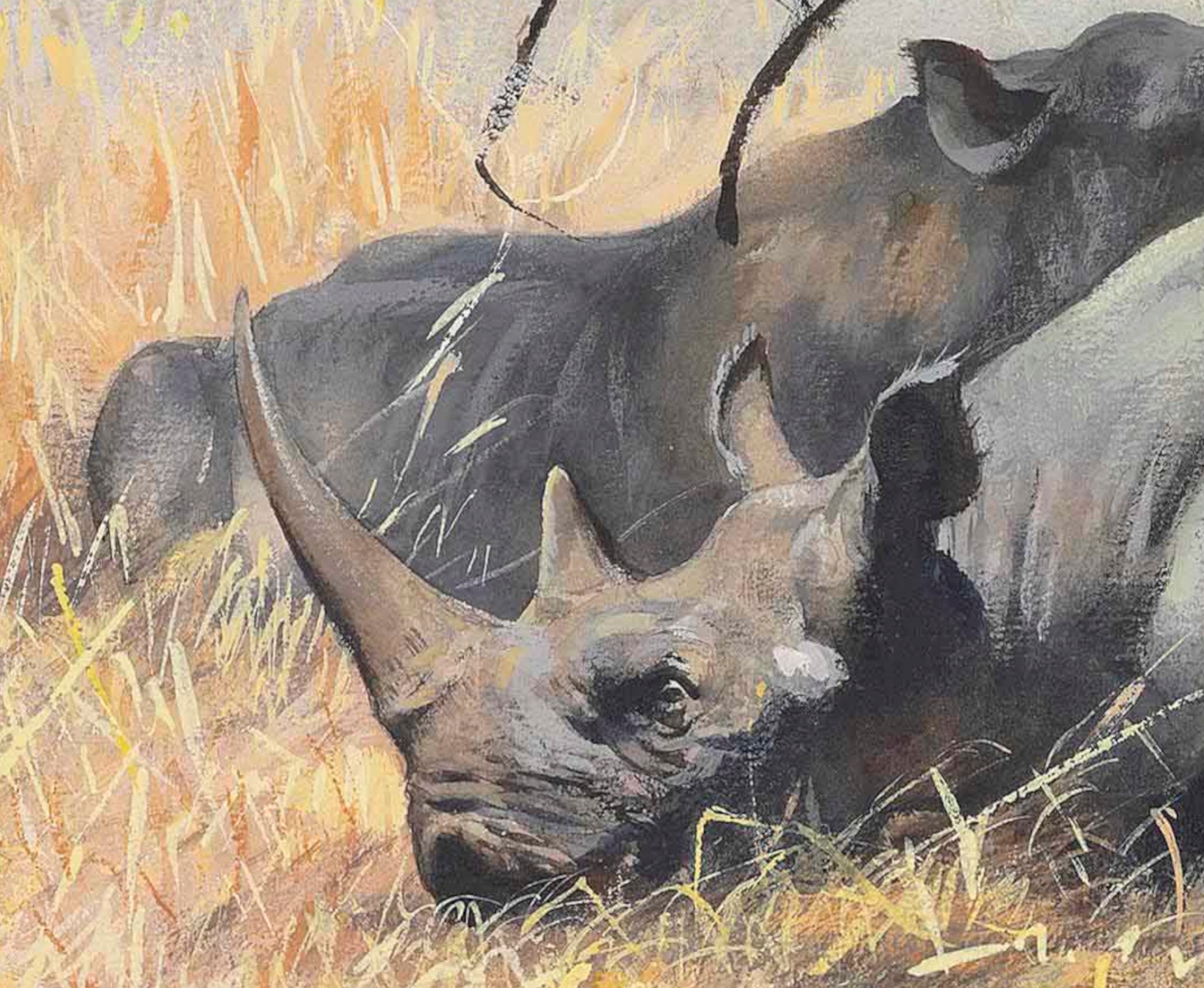 Friedrich Wilhelm Kuhnert Fine Art Print, Two Rhinoceros Resting