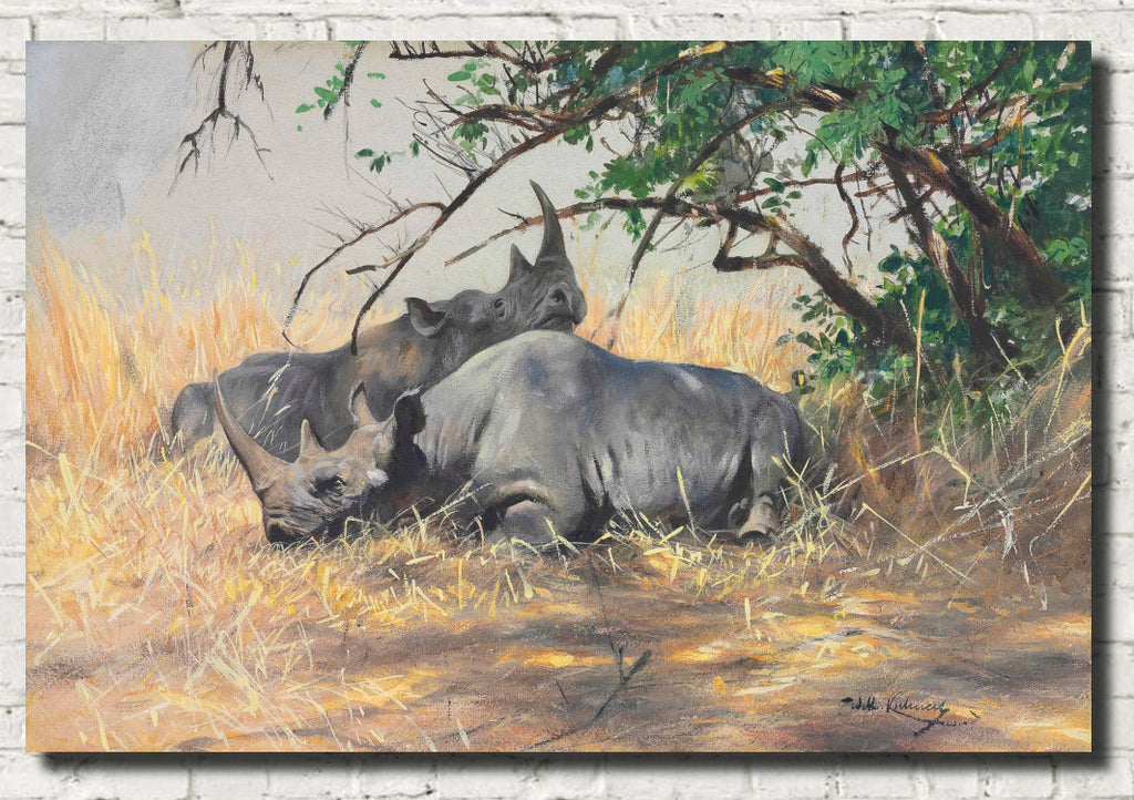 Friedrich Wilhelm Kuhnert Fine Art Print, Two Rhinoceros Resting