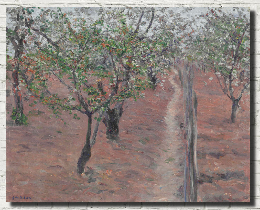 Gustave Caillebotte Fine Art Print : Orchard, flowering trees, Petit Gennevilliers