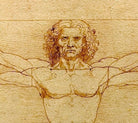 Leonardo da Vinci Fine Art Print, Vitruvian Man