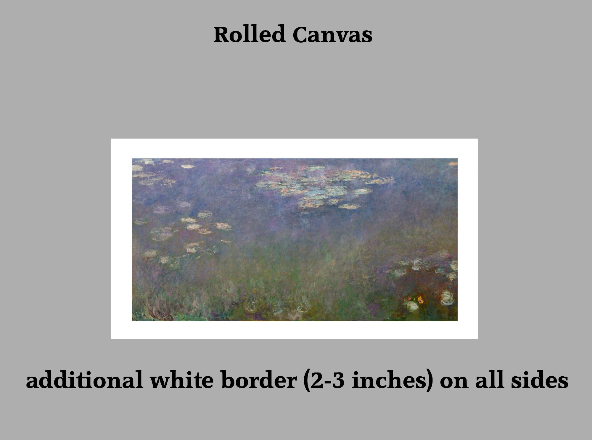 Water Lilies (Agapanthus), Claude Monet Gallery Quality Canvas Reproduction