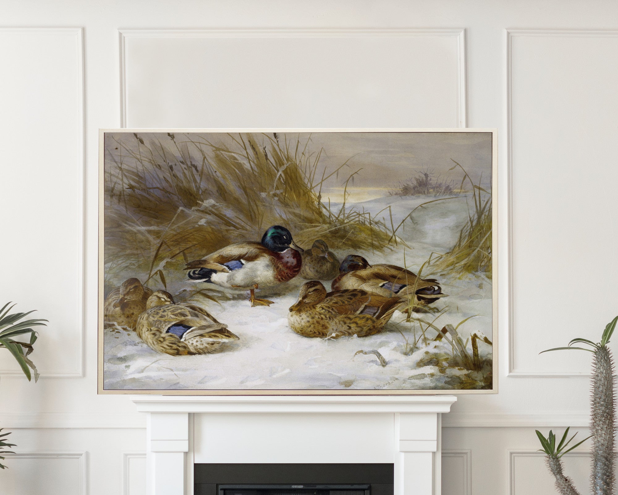 Winter Landscape With Mallard Duck, Archibald Thorburn, Birds Print
