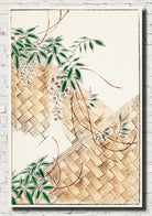 Wisteria, Japanese illustration, Watanabe Shōtei Print