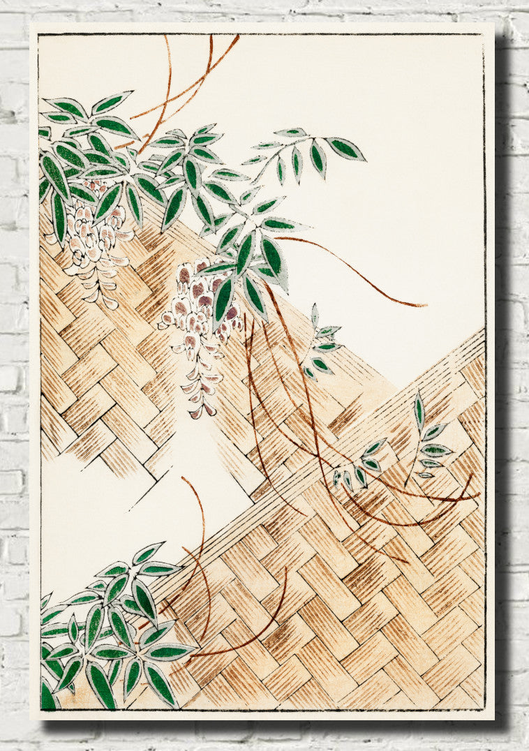 Wisteria, Japanese illustration, Watanabe Shōtei Print