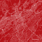 Birmingham Alabama City Street Map Print Custom Wall Map - OnTrendAndFab