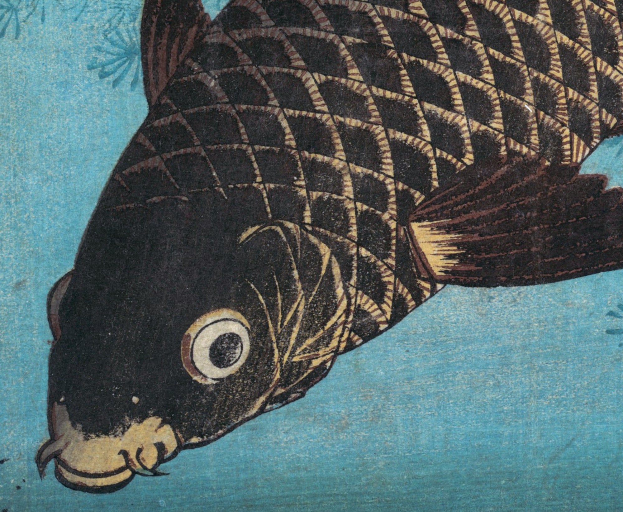 Keisai Eisen, Japanese Art Print : Carp