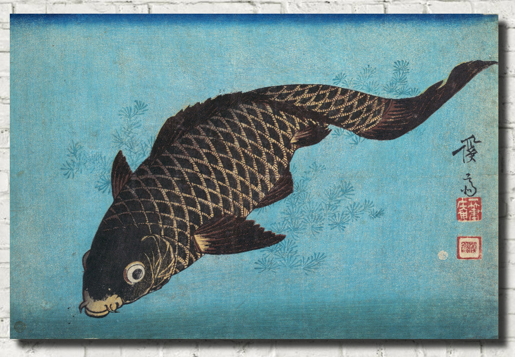 Keisai Eisen, Japanese Art Print : Carp