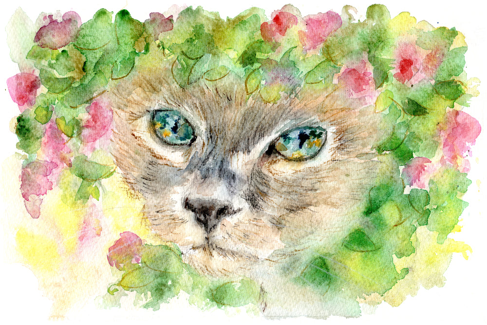 Siamese Cat Watercolour Print, Andi Lucas Wildlife Art
