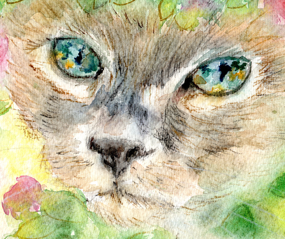 Siamese Cat Watercolour Print, Andi Lucas Wildlife Art
