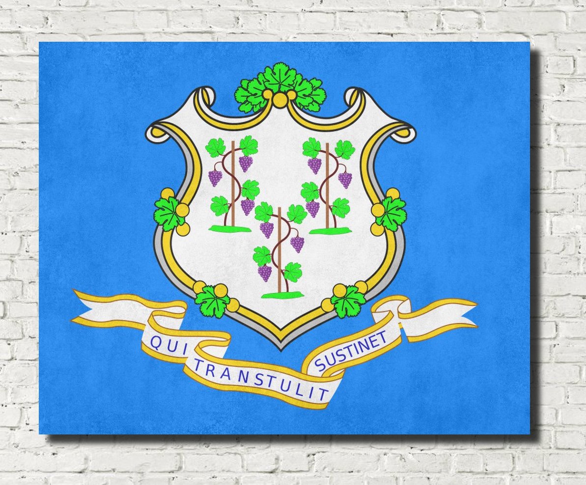 Connecticut State Flag Print