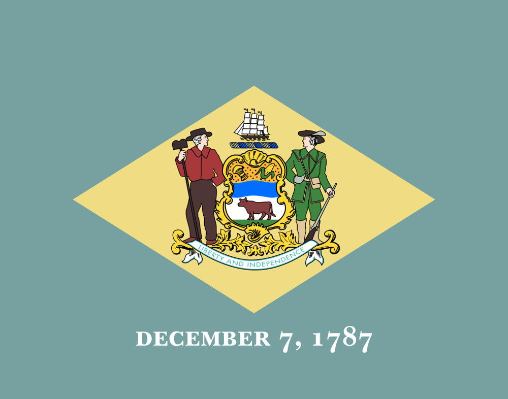 Delaware State Flag Print