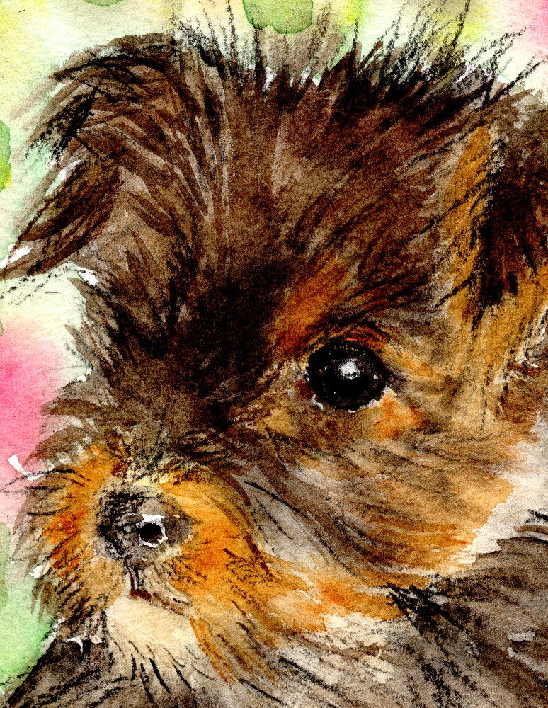 Yorkshire Terrier Puppy Watercolour Print, Andi Lucas Wildlife Art