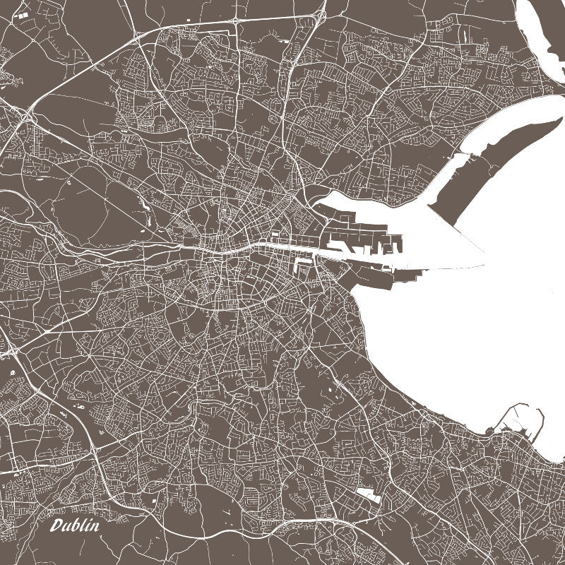Dublin City Street Map Print Custom Wall Map Poster - OnTrendAndFab