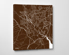 Exeter City Street Map Print Custom Wall Map
