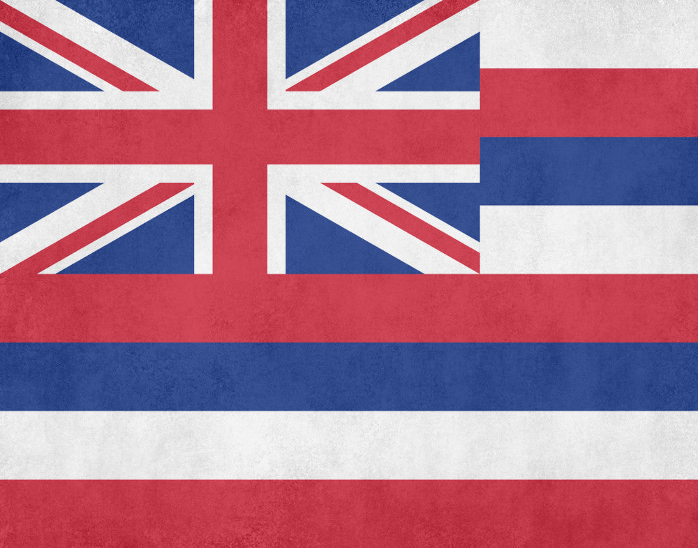 Hawaii State Flag Print